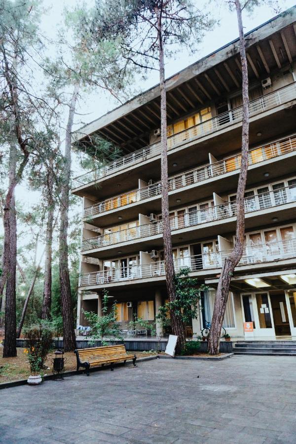 Gosdacha Ldzaa Hotel Lidzava Exterior photo